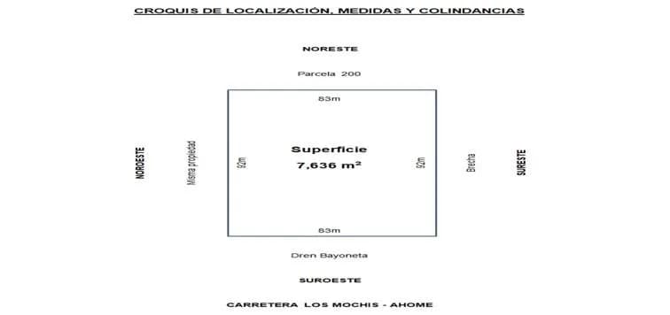 Galería 4