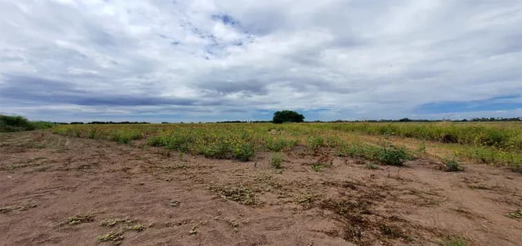En Venta excelente Predio Agrícola, San Miguel Zapotitlán.