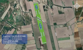 9_2931 | 24.40 HECTAREAS AGRÍCOLAS EN VENTA Ejido Suarez (Campo Gastélum o Cohuibampo), Ahome Sinaloa | Castillo Bienes Raíces