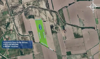 9_2932 | 10 HECTAREAS AGRÍCOLAS Ejido Suarez (Campo Gastelum y Cohuibampo), Ahome Sinaloa | Castillo Bienes Raíces