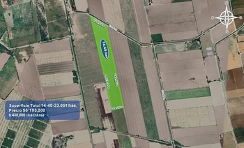 9_2933 | 14.40 HECTAREAS AGRÍCOLAS Ejido Suarez (Campo Gastelum y Cohuibampo), Ahome Sinaloa | Castillo Bienes Raíces